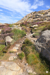 Naklejka premium Circular trail along the Lindesnes lighthouse, southern Norway