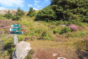 Guide post on circular hiking trail round the Lindesnes Lighthouse, Southern Norway, Lindesnes Municipality, Norway, Europe
