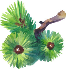 Christmas watercolor pines