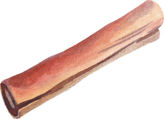 Christmas watercolor spices