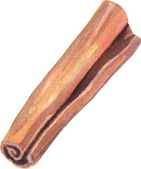 Christmas watercolor spices