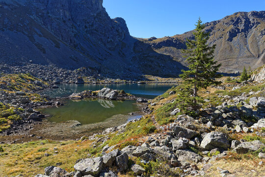 Rocks and trees around the small thrid mountain lake of Lacs Robert