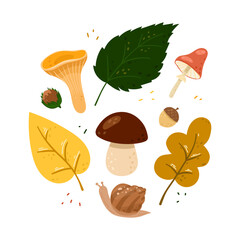 Set of vector autumn illustrations in cartoon style. Collection harvest of fresh wild forest mushrooms with leaves, hazelnut and acorn. Isolated on white background. 