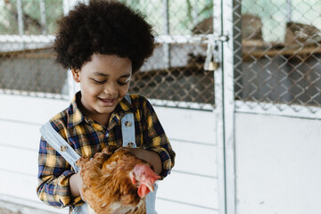Portrait boy holding chicken at farm