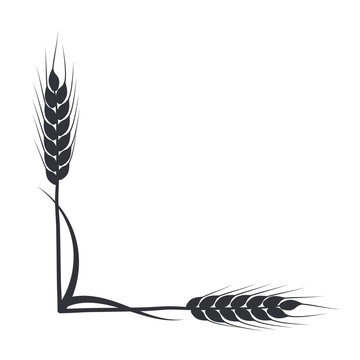 recommend clip art: Wheat, oat, rye or barley field silhouette. Cereal plant border, agricultural landscape with black spikelets. Banner for design beer, bread, flour packaging.