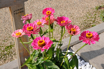 friedhof, grabdekoration