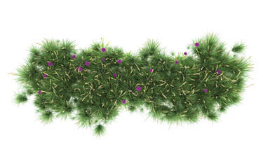 Grass on transparent background. 3d rendering - illustration