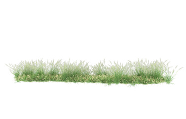 Grass on transparent background. 3d rendering - illustration