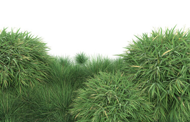 Grass on transparent background. 3d rendering - illustration