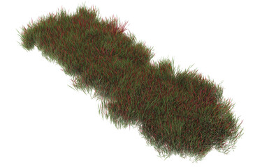 Grass on transparent background. 3d rendering - illustration
