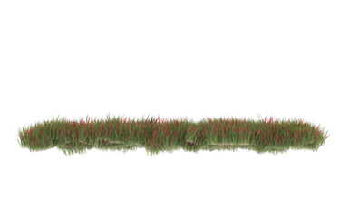 Grass on transparent background. 3d rendering - illustration