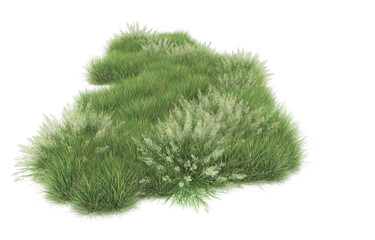Grass on transparent background. 3d rendering - illustration