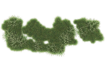 Grass on transparent background. 3d rendering - illustration