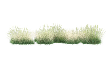 Grass on transparent background. 3d rendering - illustration