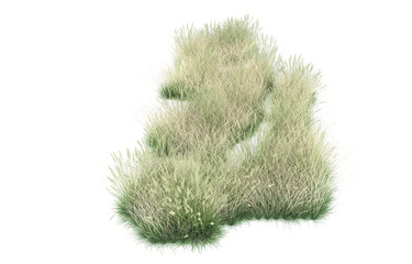 Grass on transparent background. 3d rendering - illustration