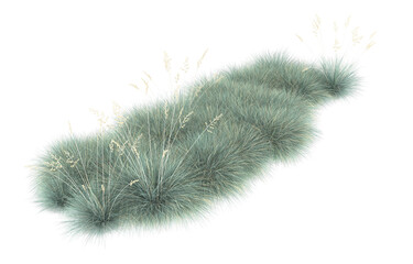 Grass on transparent background. 3d rendering - illustration
