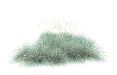 Grass on transparent background. 3d rendering - illustration