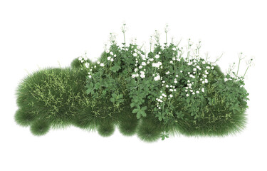 Grass on transparent background. 3d rendering - illustration