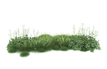 Grass on transparent background. 3d rendering - illustration