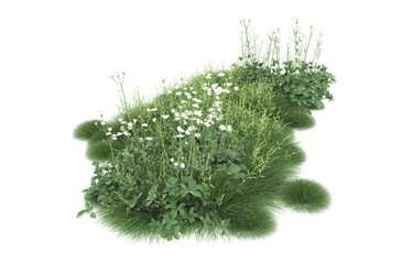 Fototapeta premium Grass on transparent background. 3d rendering - illustration