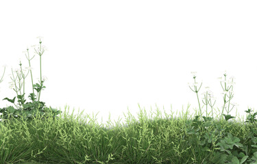 Grass on transparent background. 3d rendering - illustration