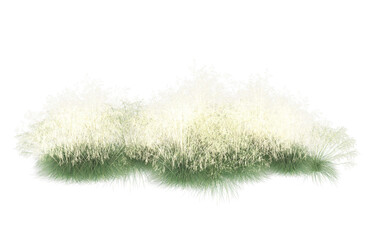 Grass on transparent background. 3d rendering - illustration
