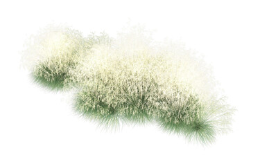 Grass on transparent background. 3d rendering - illustration