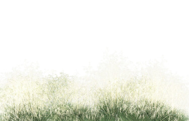 Fototapeta na wymiar Grass on transparent background. 3d rendering - illustration