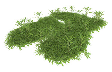 Grass on transparent background. 3d rendering - illustration