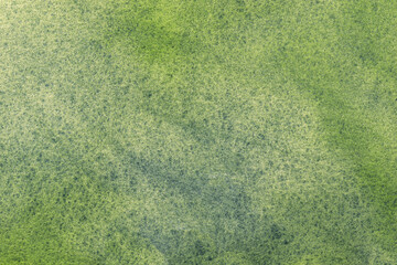Abstract art background green colors. Watercolor painting on canvas with olive stains and gradient.