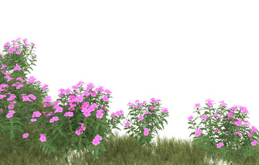 Naklejka premium Grass on transparent background. 3d rendering - illustration