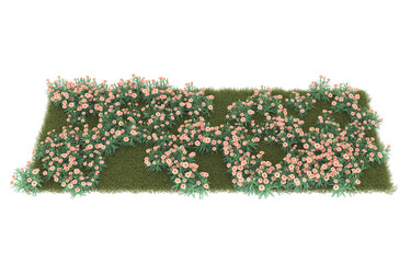 Grass on transparent background. 3d rendering - illustration