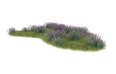 Grass on transparent background. 3d rendering - illustration