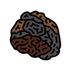 chaga mushroom color icon vector. chaga mushroom sign. isolated symbol illustration