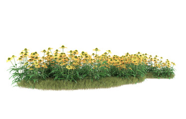 Grass on transparent background. 3d rendering - illustration