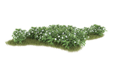 Grass on transparent background. 3d rendering - illustration