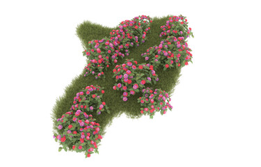 Grass on transparent background. 3d rendering - illustration