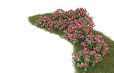 Grass on transparent background. 3d rendering - illustration