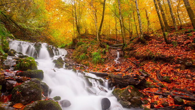 Sevenlakes (Yedigöller) National Park, the most beautiful colors of autumn, the waterfall was brought to light with the long exposure technique. © Samet