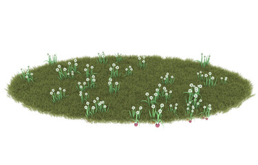 Grass on transparent background. 3d rendering - illustration