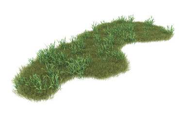 Grass on transparent background. 3d rendering - illustration