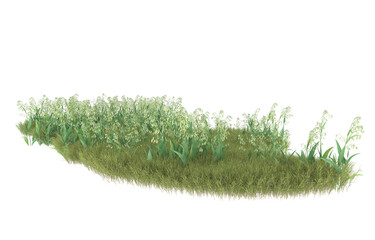 Grass on transparent background. 3d rendering - illustration