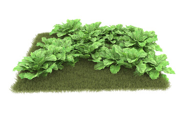 Grass on transparent background. 3d rendering - illustration