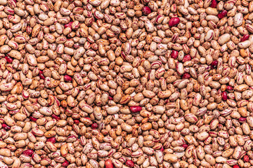 raw organic multicolored beans texture
