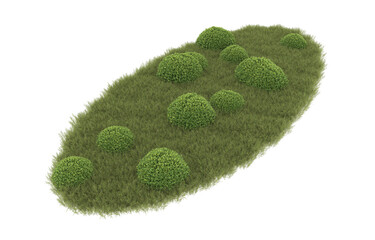 Fototapeta premium Grass on transparent background. 3d rendering - illustration