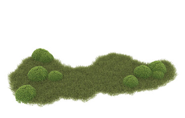 Fototapeta premium Grass on transparent background. 3d rendering - illustration