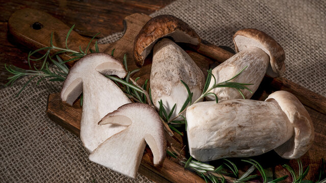 Food photography background - Forest mushrooms / Boletus edulis (king bolete) / penny bun / cep / porcini / mushroom and rosemary herbs on old wooden board on table