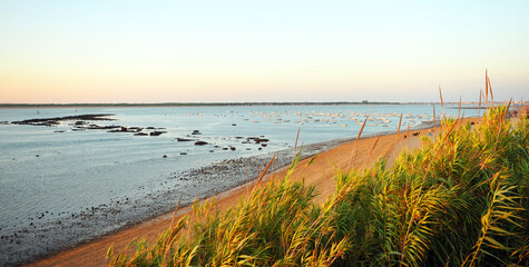 Sunset in Bajo de Guia, mouth of the Guadalquivir river in Sanlucar de Barrameda, Cádiz province,...
