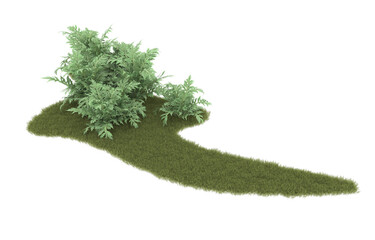 Grass on transparent background. 3d rendering - illustration