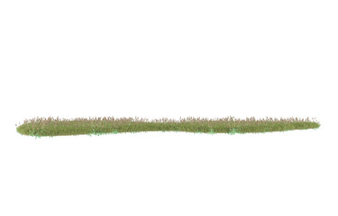 Grass on transparent background. 3d rendering - illustration